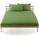Fitted Sheet Percale Bassetti In Tinta Bassetti With Perfetto® Releaseable Angles Green Moss V3211