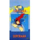 Beach Towel Superman Bassetti Kids Warner Bros V1