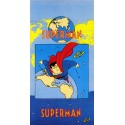 Telo Mare Bassetti Kids Warner Bros Superman