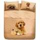 Bedcover Sheet Set La Natura Bassetti Golden Puppy V1