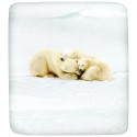 Fitted Sheet Bassetti La Natura Family Teddy Polar Bears