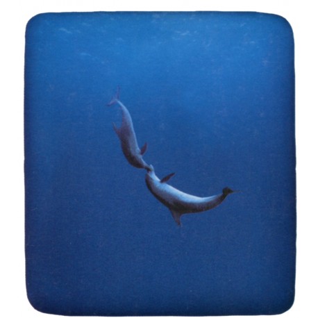 Fitted Sheet La Natura Bassetti Dolphins V1
