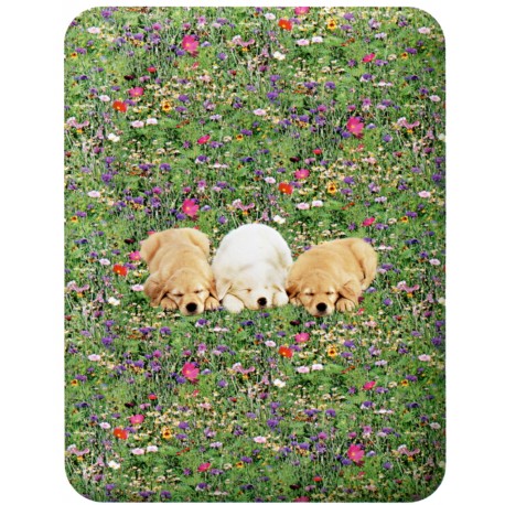 Fitted Sheet La Natura Bassetti Golden Retriever Pups On The Meadow