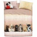 Complete Sheet Set Bassetti Extra Special Edition Cats With Cocker Spaniel, Dachshund Pups And Shih Tzu