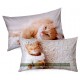 Pillowcases Bassetti Imagine Flock Cat Cuddle Me V1-2053