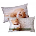 Pillowcase Bassetti Imagine Flock Cat Cuddle Me